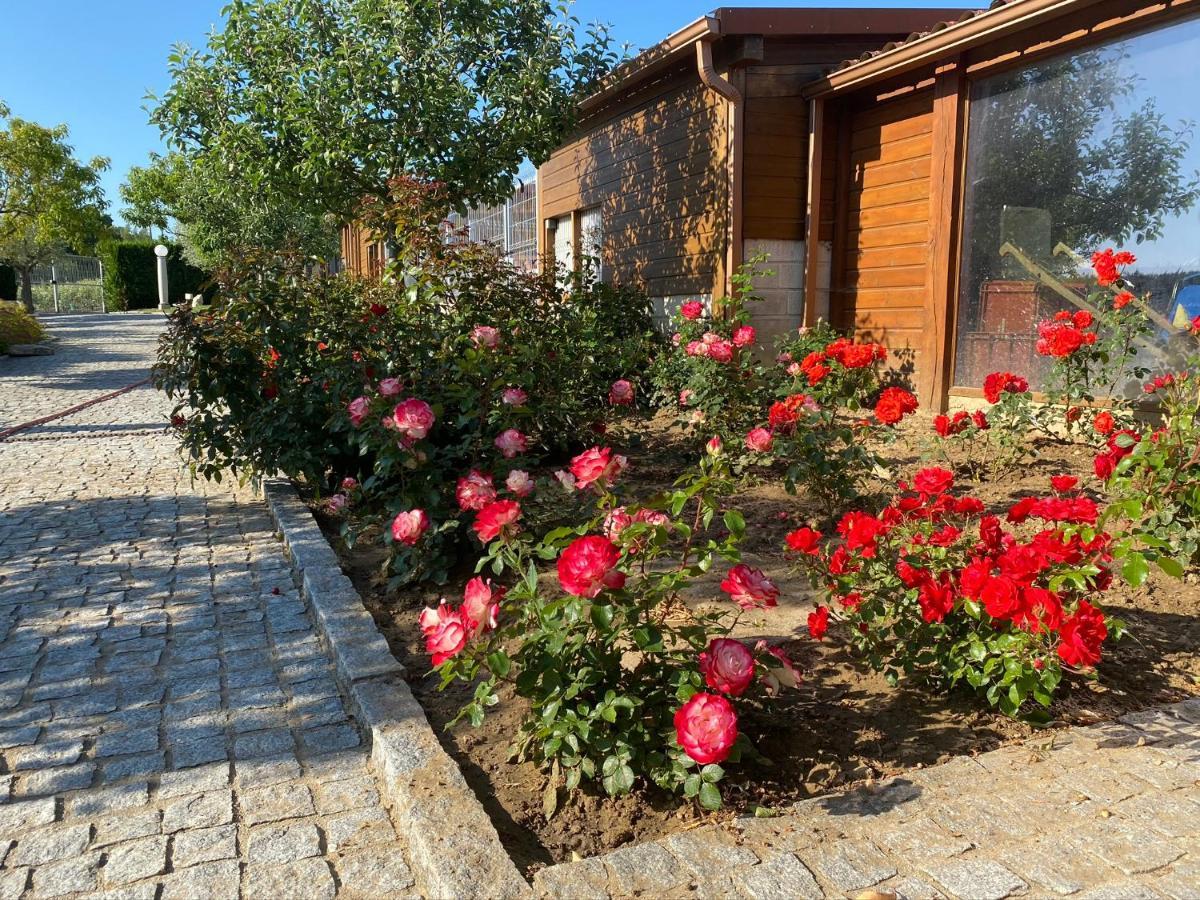 Gites Des Sablons Châtillon-sur-Marne Exterior foto