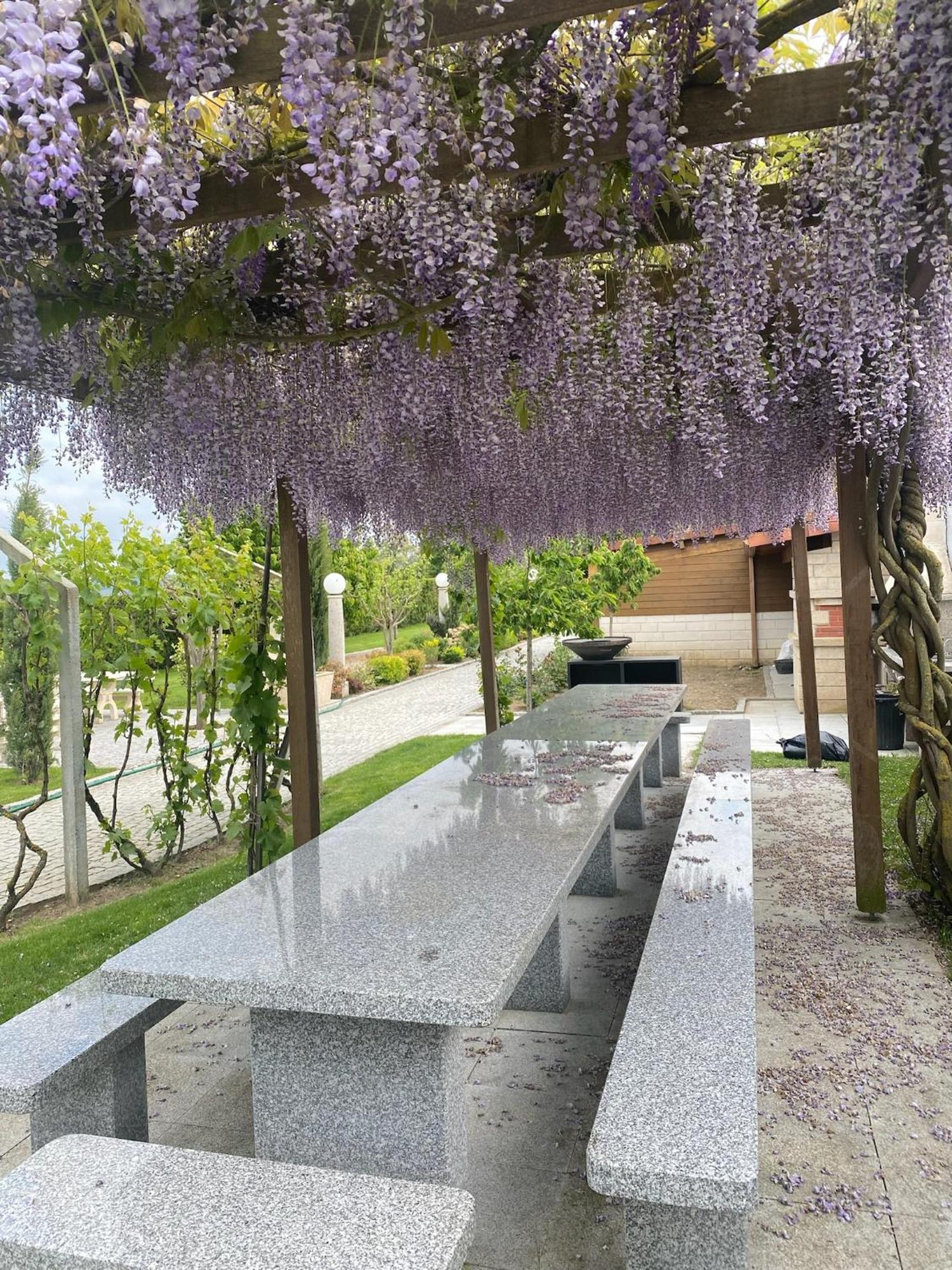 Gites Des Sablons Châtillon-sur-Marne Exterior foto